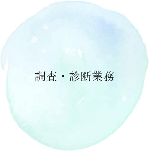 調査・診断業務